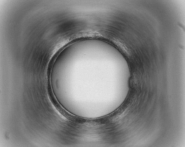X0000094220630200710260954