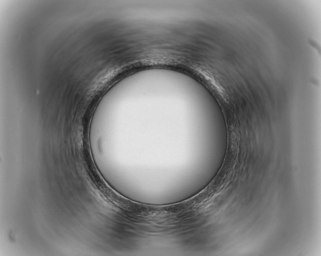 X0000094220631200710260954