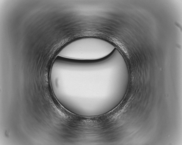 X0000094220633200710260954