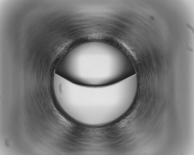 X0000094220637200710260954