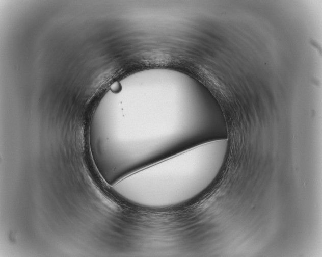 X0000094220638200710260954