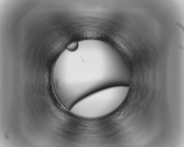 X0000094220639200710260954