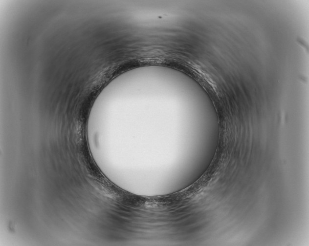 X0000094220641200710260954