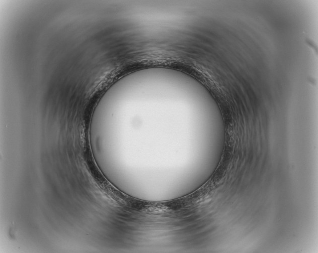 X0000094220642200710260954
