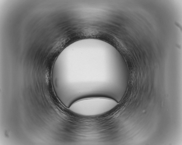 X0000094220644200710260954