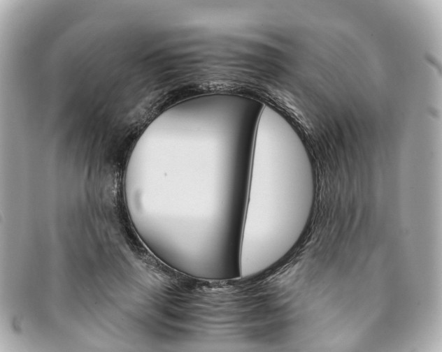X0000094220645200710260954