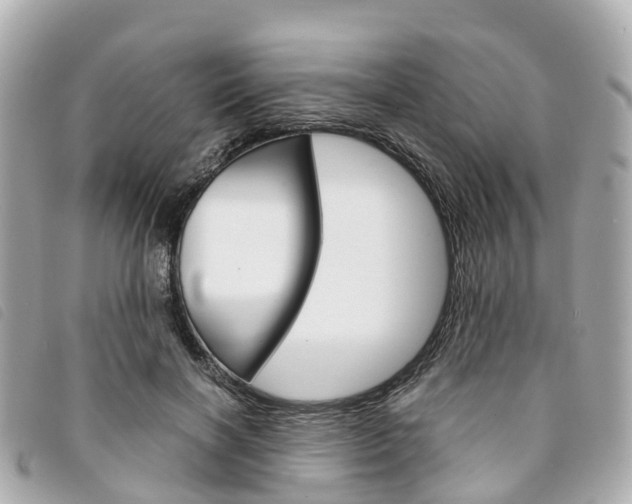X0000094220646200710260954