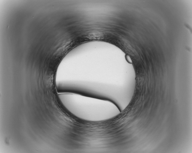 X0000094220652200710260954