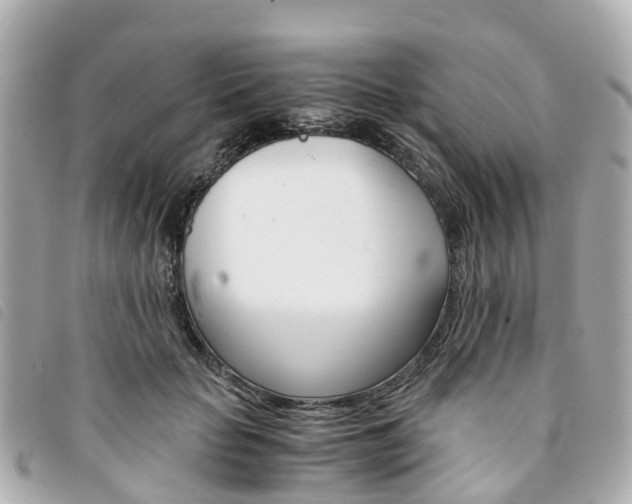 X0000094220653200710260954