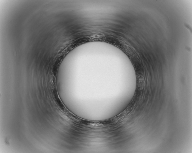 X0000094220654200710260955