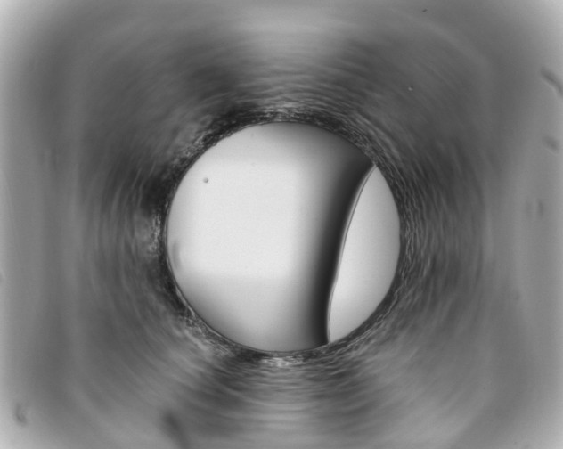 X0000094220660200710260955