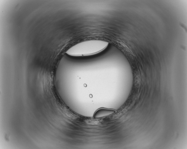 X0000094220661200710260955