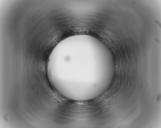 X0000094220662200710260955
