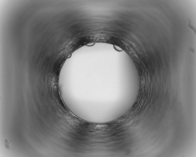 X0000094220663200710260955