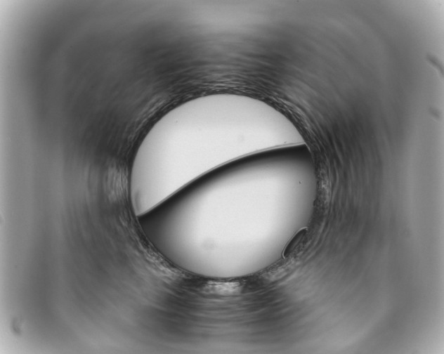 X0000094220665200710260955
