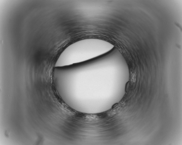 X0000094220666200710260955
