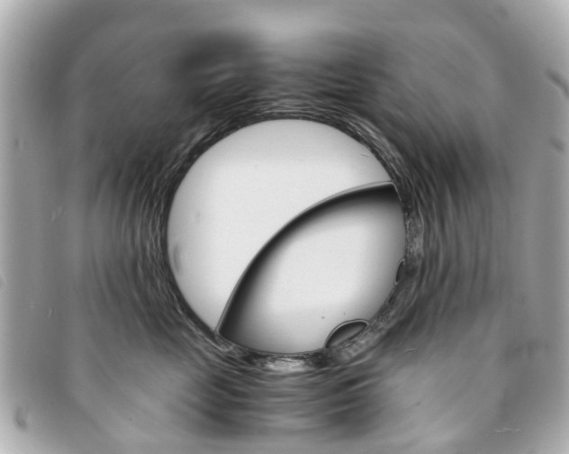 X0000094220669200710260955