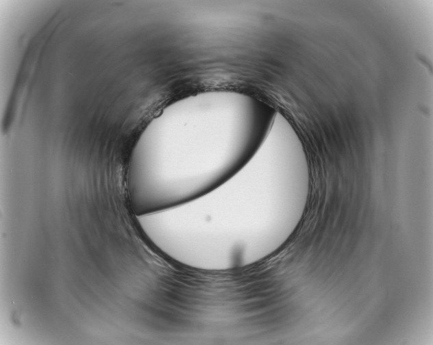 X0000094220670200710260955