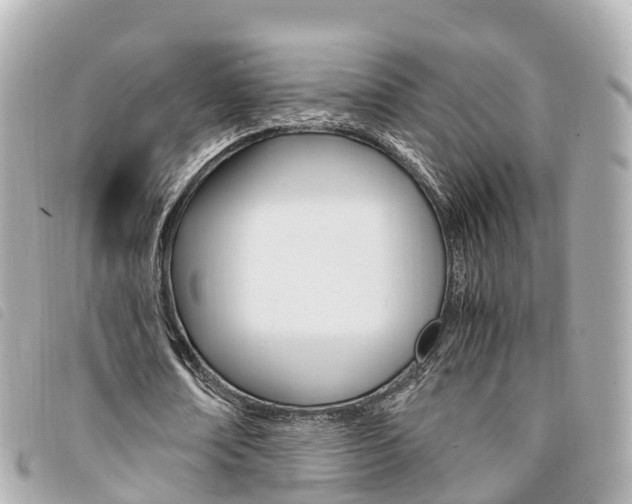 X0000094220674200710260954