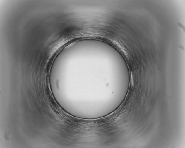 X0000094220675200710260954