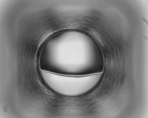 X0000094220676200710260954