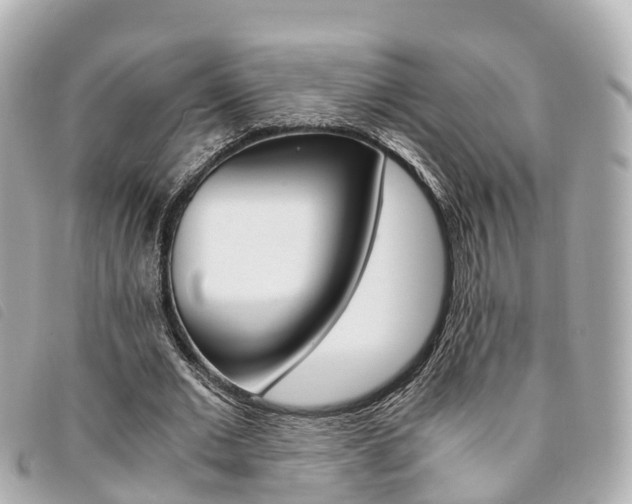 X0000094220677200710260954