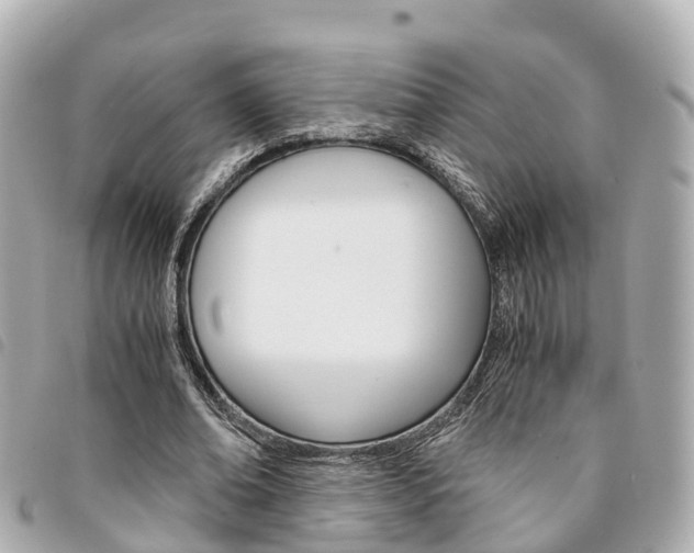 X0000094220678200710260954