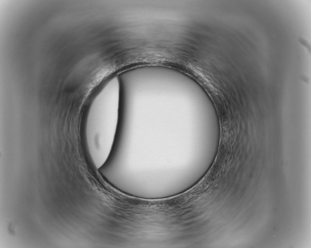 X0000094220679200710260954