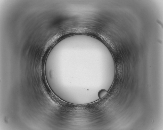 X0000094220682200710260954