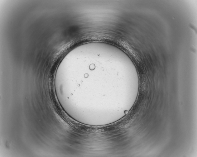 X0000094220683200710260954