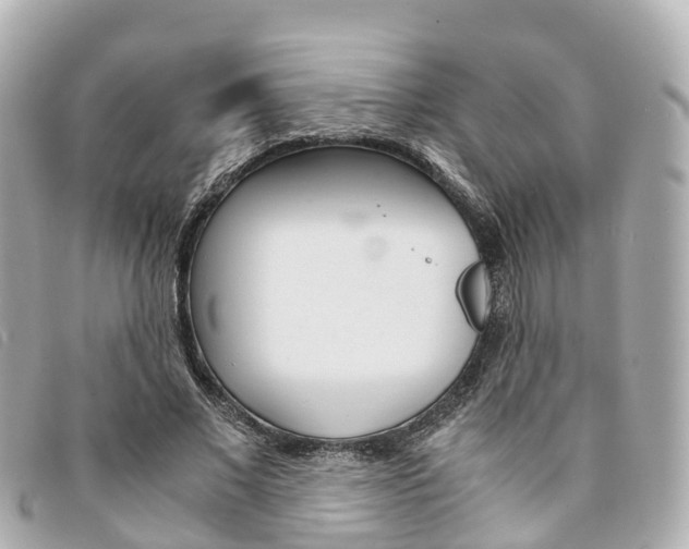 X0000094220685200710260954