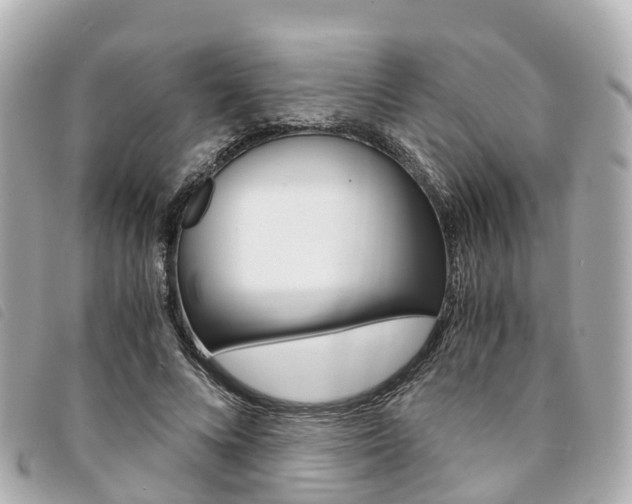X0000094220688200710260954