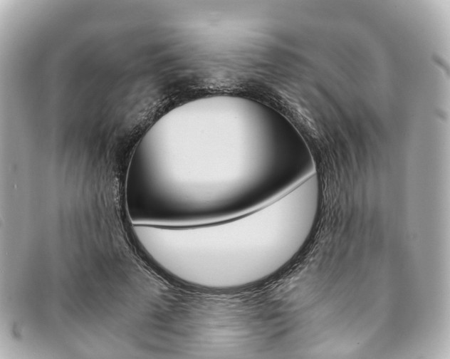 X0000094220689200710260954
