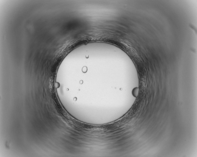 X0000094220691200710260954