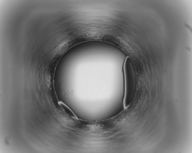 X0000094220693200710260954
