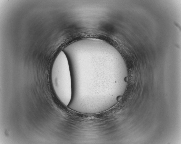 X0000094220695200710260954