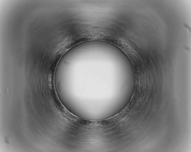 X0000094220696200710260954
