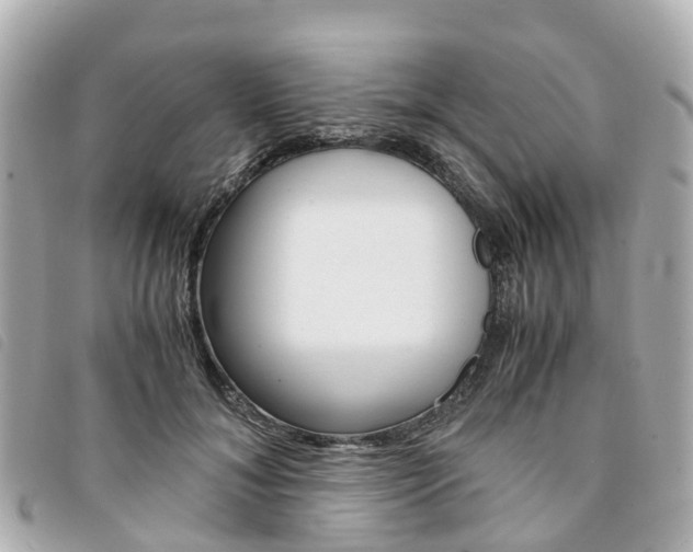 X0000094220700200710260954