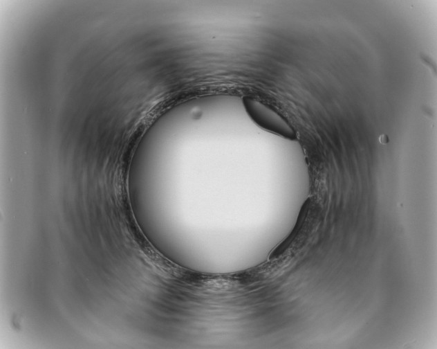 X0000094220708200710260954