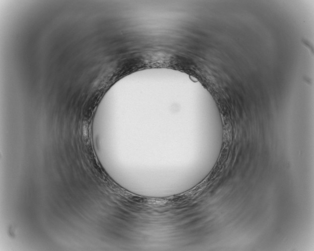 X0000094220709200710260954