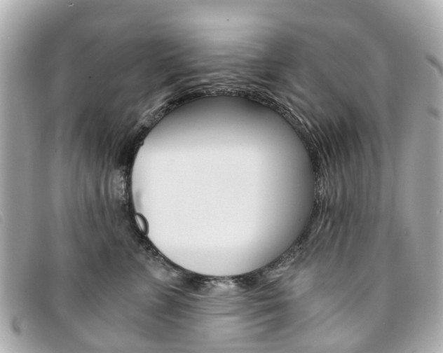X0000094220715200710260953