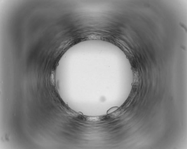 X0000094220717200710260953
