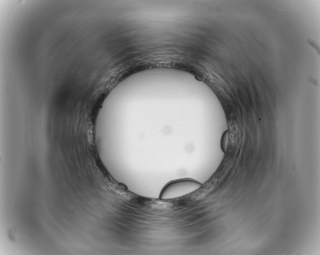 X0000094220718200710260953