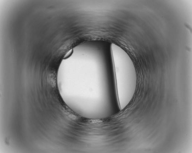X0000094220719200710260953