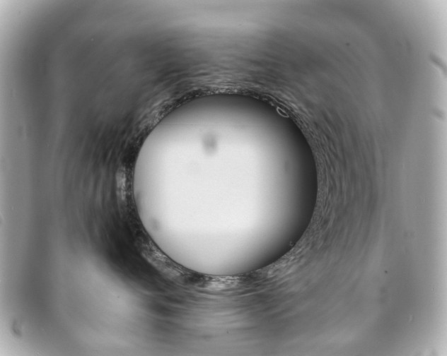X0000094220720200710260953