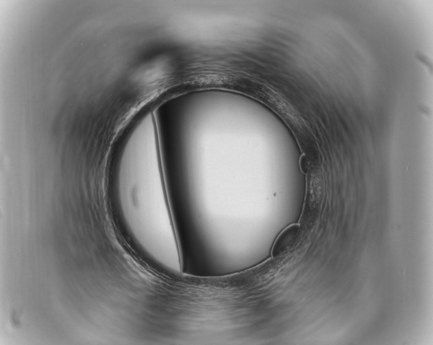 X0000094220722200710260953