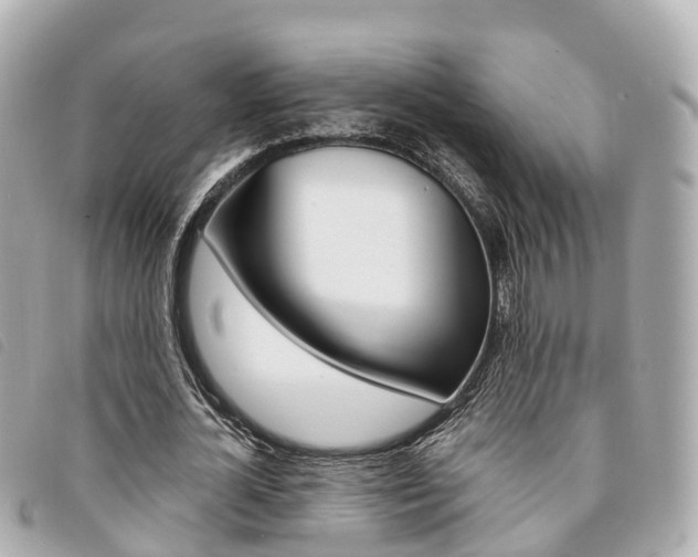 X0000094220724200710260953