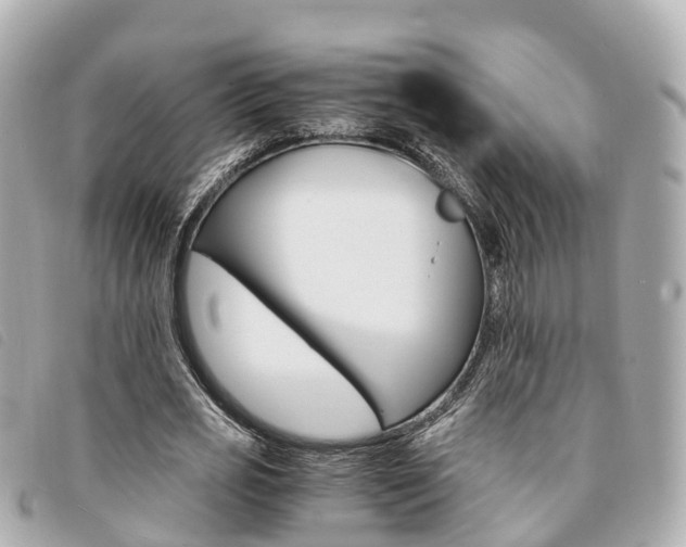 X0000094220725200710260953