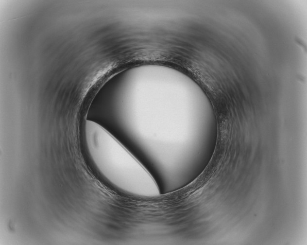 X0000094220727200710260953