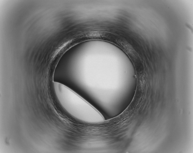 X0000094220728200710260953